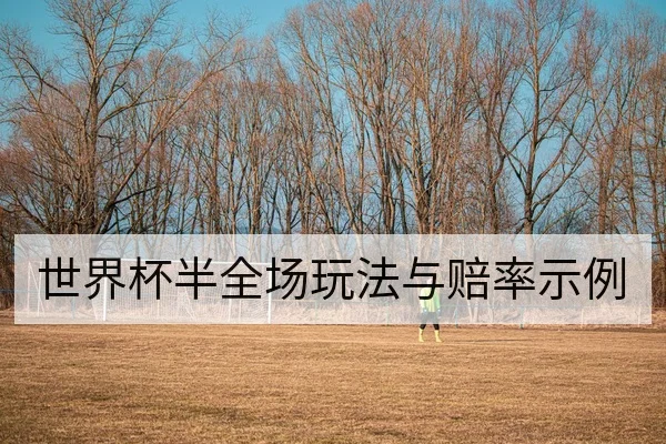 世界杯半全场玩法与赔率示例